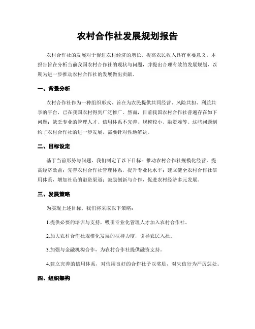 农村合作社发展规划报告
