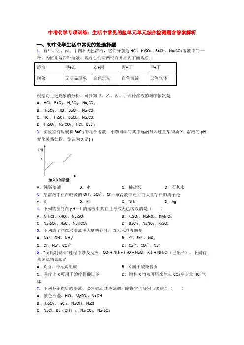 中考化学专项训练：生活中常见的盐单元单元综合检测题含答案解析