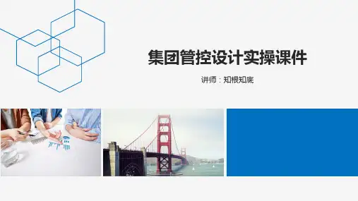 集团管控设计实操课件