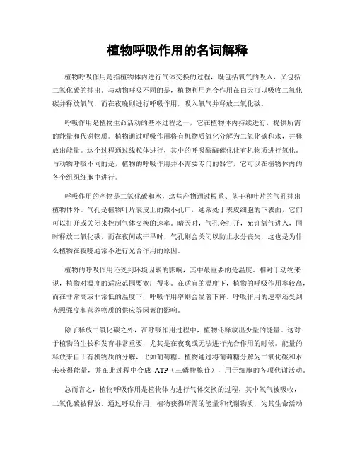 植物呼吸作用的名词解释