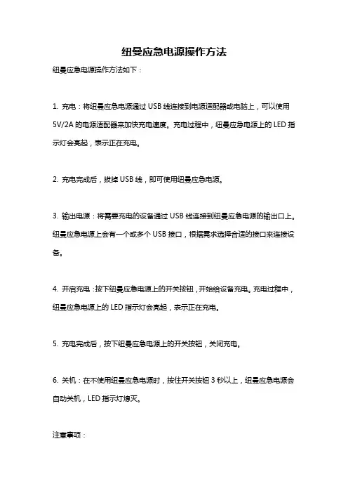 纽曼应急电源操作方法