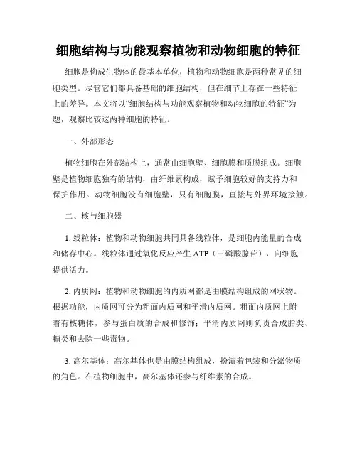细胞结构与功能观察植物和动物细胞的特征