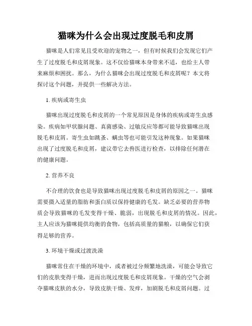 猫咪为什么会出现过度脱毛和皮屑
