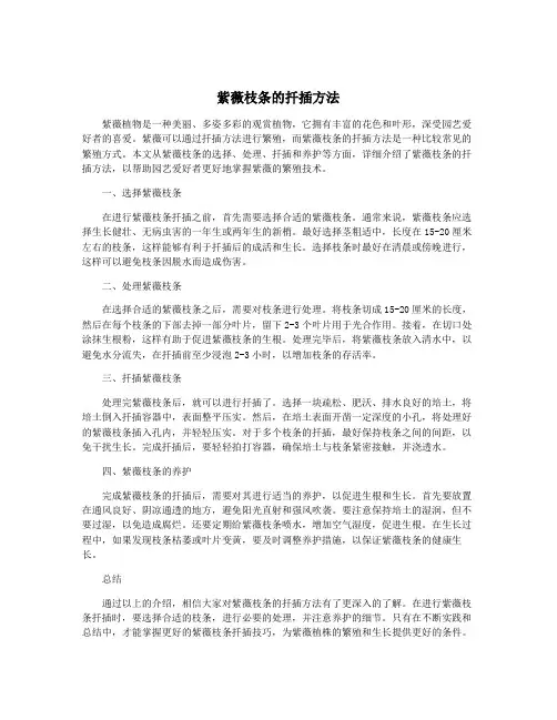 紫薇枝条的扦插方法