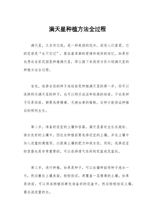 满天星种植方法全过程
