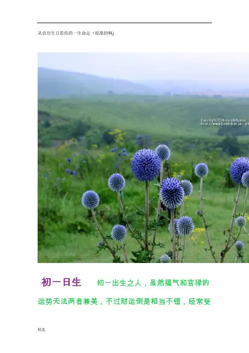 学习资料从农历生日看你的一生命运(很准的啊).doc