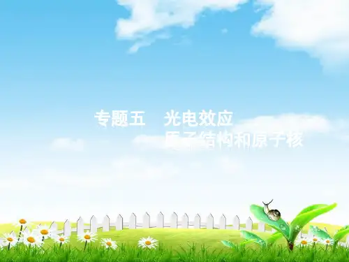 物理二轮复习课件：专题五光电效应原子结构和原子核