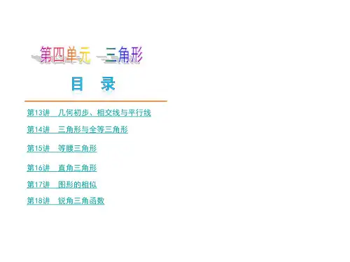 【中考数学夺分大模块复习权威课件】-第4模块《几何基础、三角形与全等、相似及解直角三角形》名师大串讲