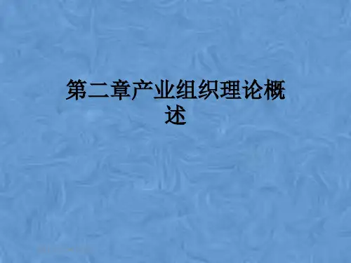 第二章产业组织理论概述