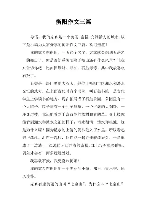 衡阳作文三篇