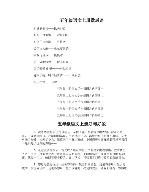 五年级上册语文手抄报图片内容