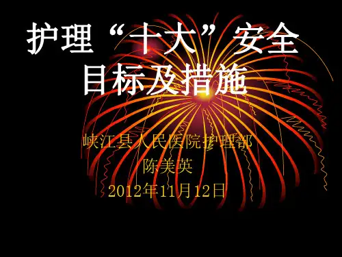 护理十大目标及措施