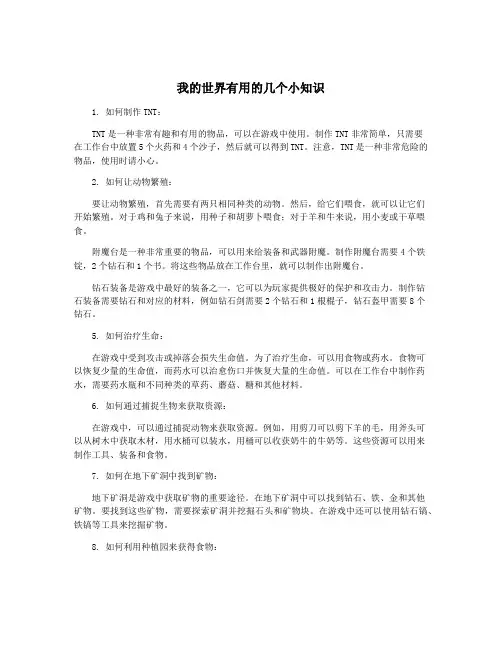我的世界有用的几个小知识
