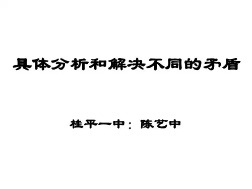 具体问题具体分析优秀课件4