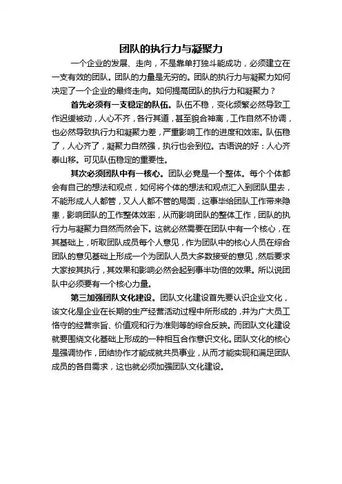 团队的执行力与凝聚力
