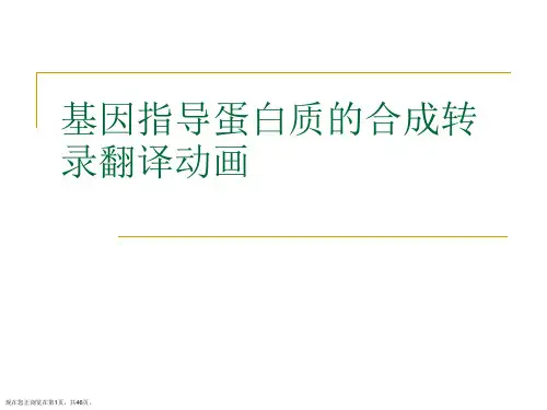 基因指导蛋白质的合成转录翻译动画PPT课件