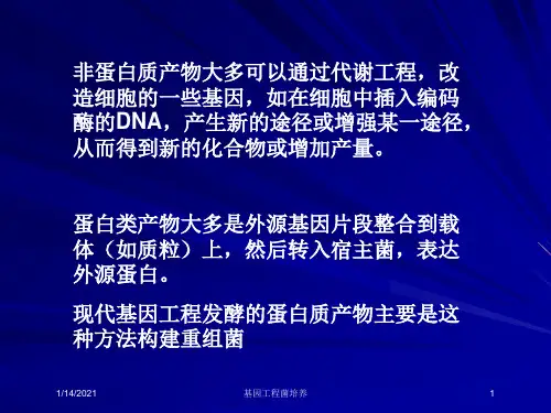 基因工程菌培养培训课件