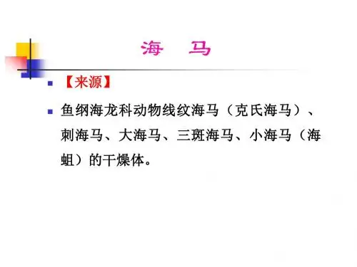 动物类中药海马课件