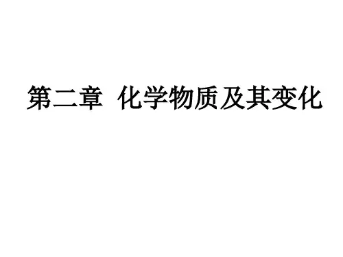 优秀课件高中化学必修一第二章复习 (共24张PPT)