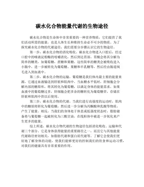 碳水化合物能量代谢的生物途径