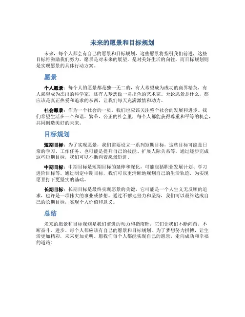 未来的愿景和目标规划