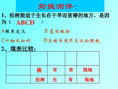 初中生物科学七年级21蕨类植物ppt课件