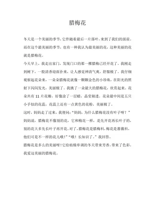四年级状物腊梅花