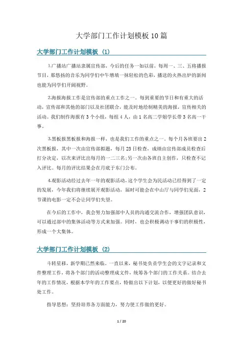 大学部门工作计划模板10篇