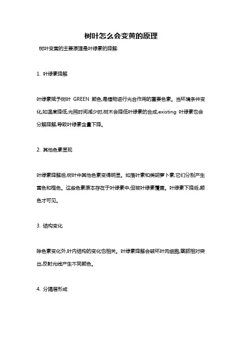 树叶怎么会变黄的原理