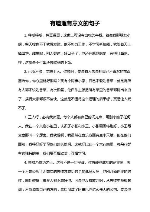 有道理有意义的句子