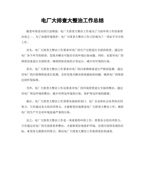 电厂大排查大整治工作总结