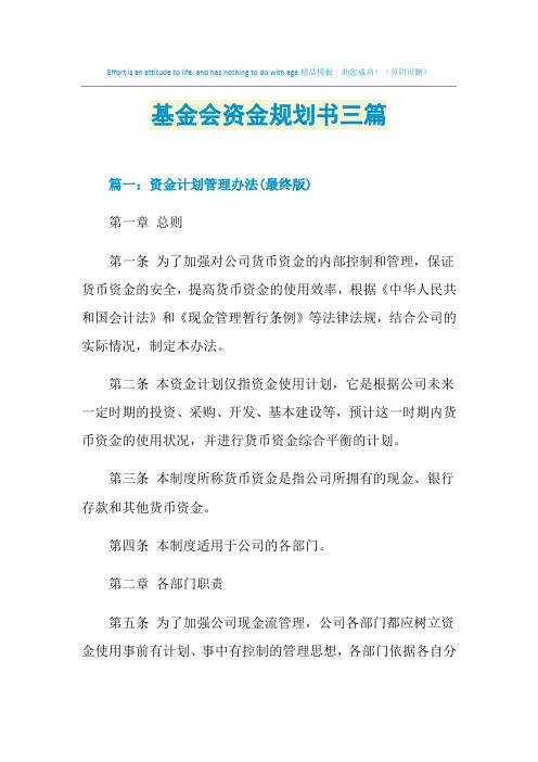 2021年基金会资金规划书三篇