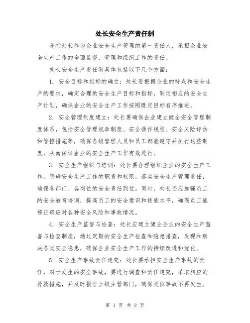 处长安全生产责任制