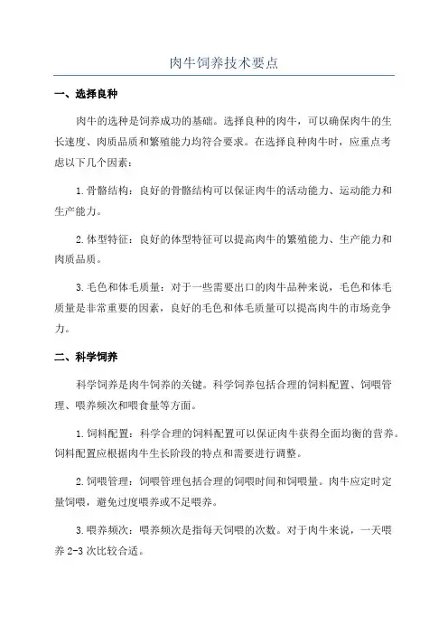 肉牛饲养技术要点