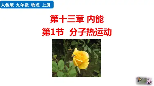 最新人教版初中物理九年级全一册《第1节 分子热运动》精品教学课件