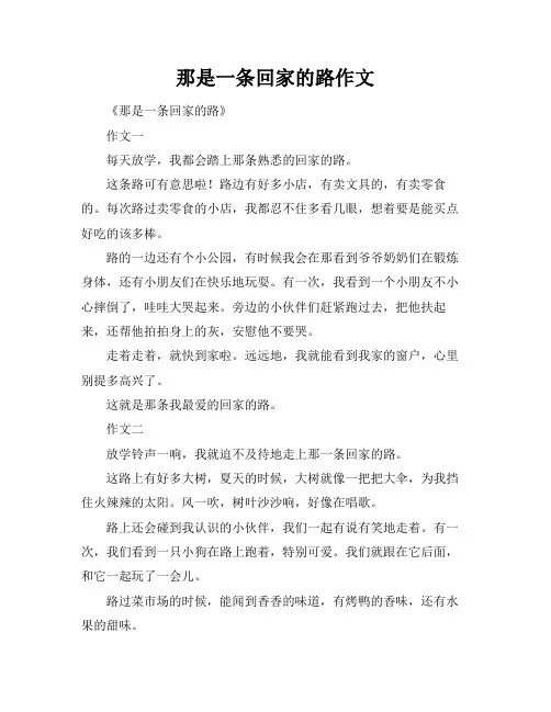 那是一条回家的路作文