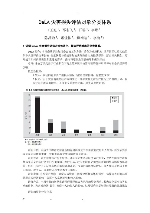 DaLA灾害损失评估方法体系报告