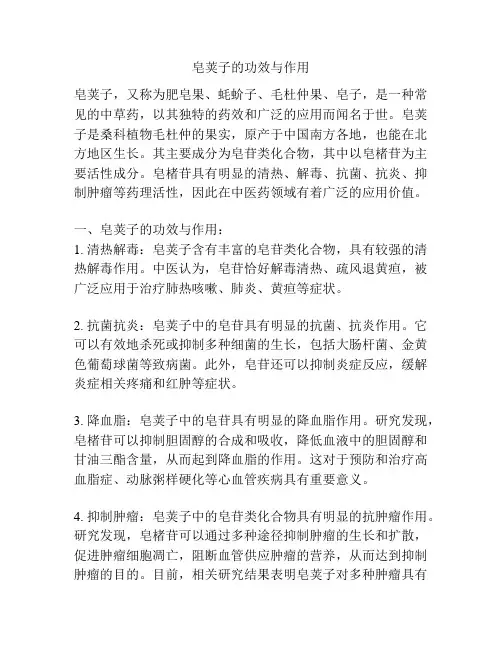 皂荚子的功效与作用