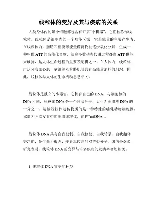 线粒体的变异及其与疾病的关系