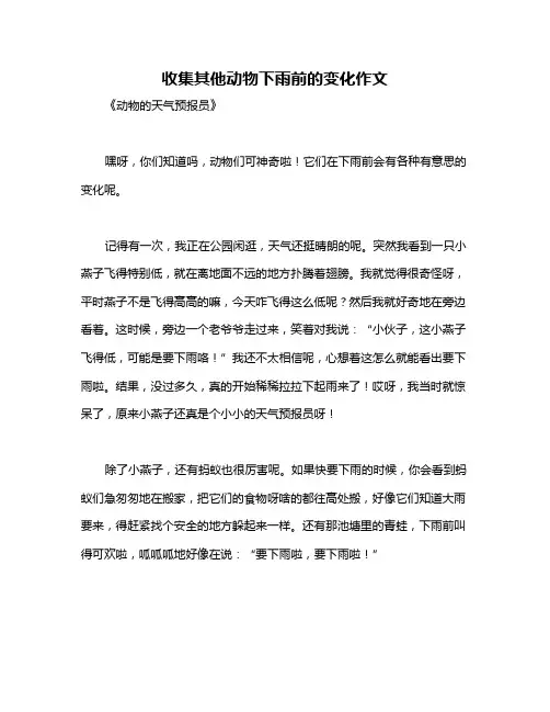 收集其他动物下雨前的变化作文