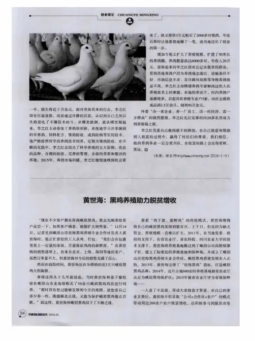 黄世海：黑鸡养殖助力脱贫增收