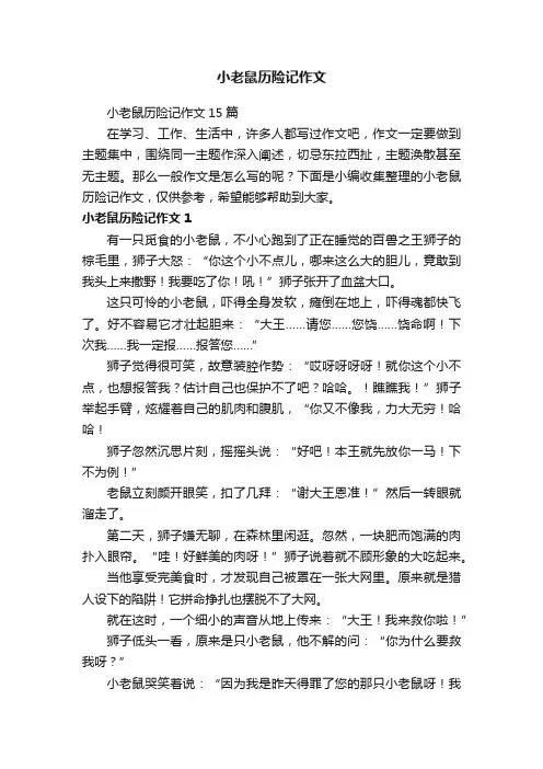 小老鼠历险记作文