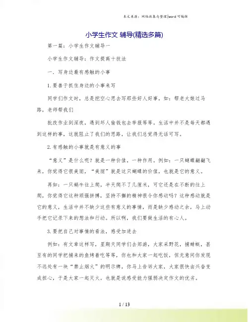 小学生作文 辅导(精选多篇)