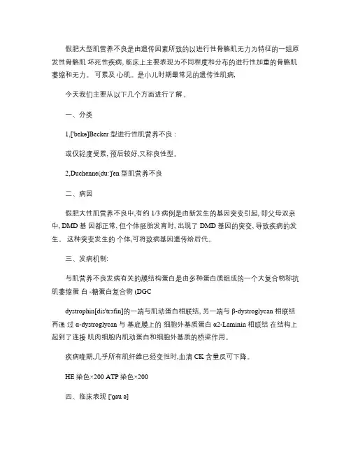 假性肥大性肌营养不良解读
