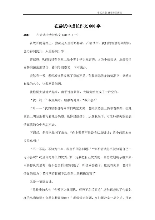 在尝试中成长作文600字
