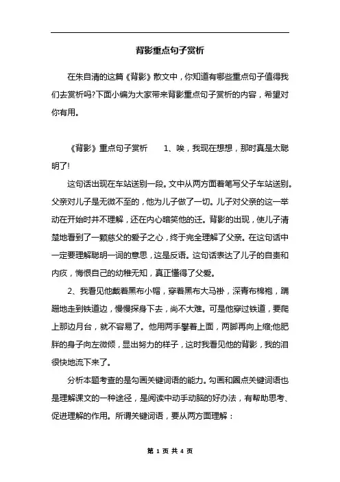 背影重点句子赏析