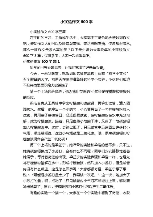 小实验作文600字三篇