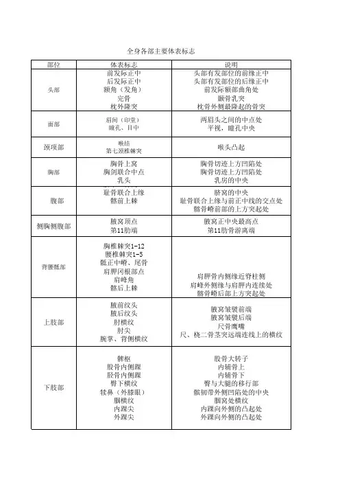 全身各部主要体表标志
