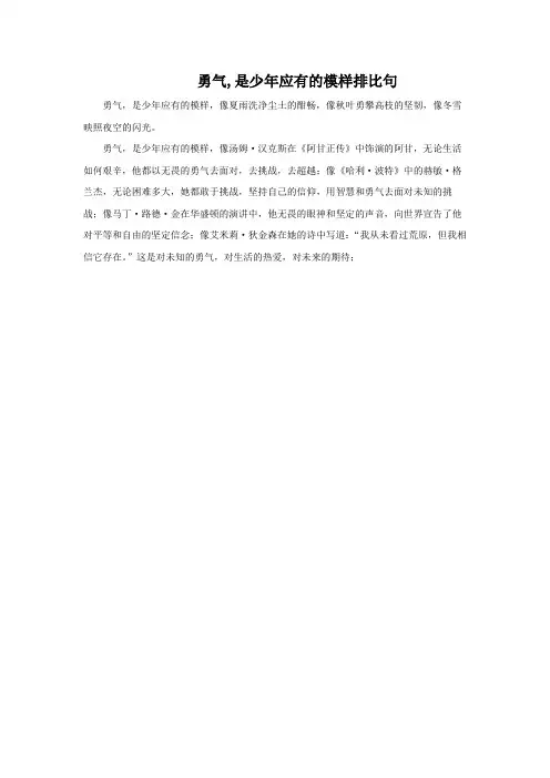勇气,是少年应有的模样排比句