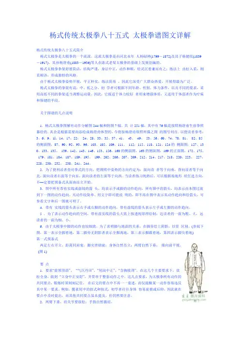杨式传统太极拳八十五式 太极拳谱图文